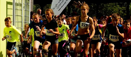 Vorbereitung des Güstrower Inselseelaufes in finaler Phase